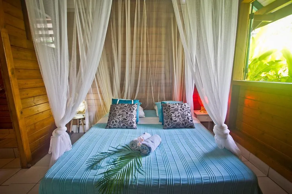 Blue R Aka Jade Et Jack Guest House Deshaies Guadeloupe